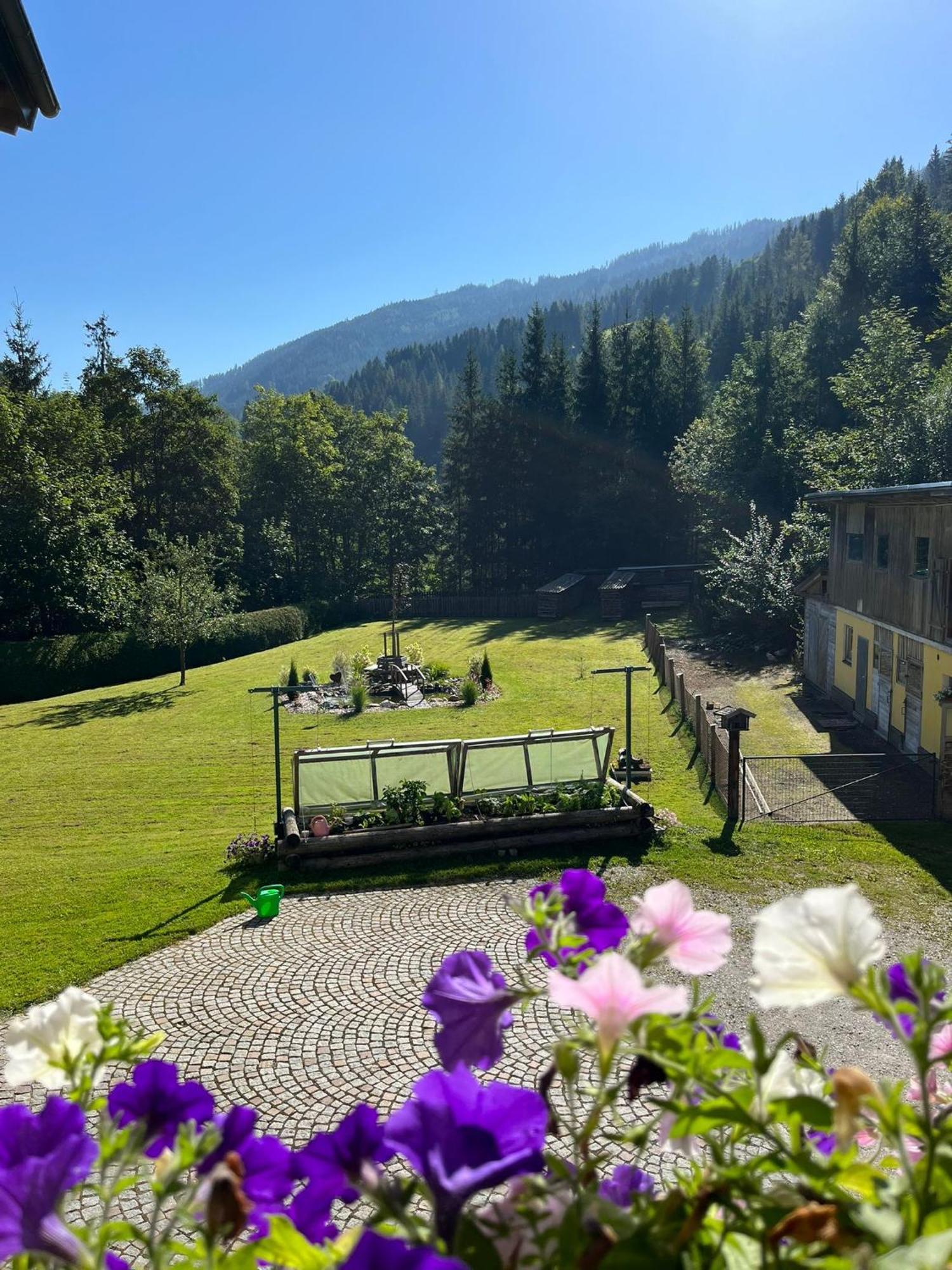 Haus Rosina Apartment Mühlbach am Hochkönig Exterior foto